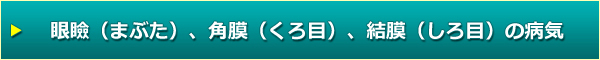 眼瞼（まぶた）、角膜（くろ目）、結膜（しろ目）の病気